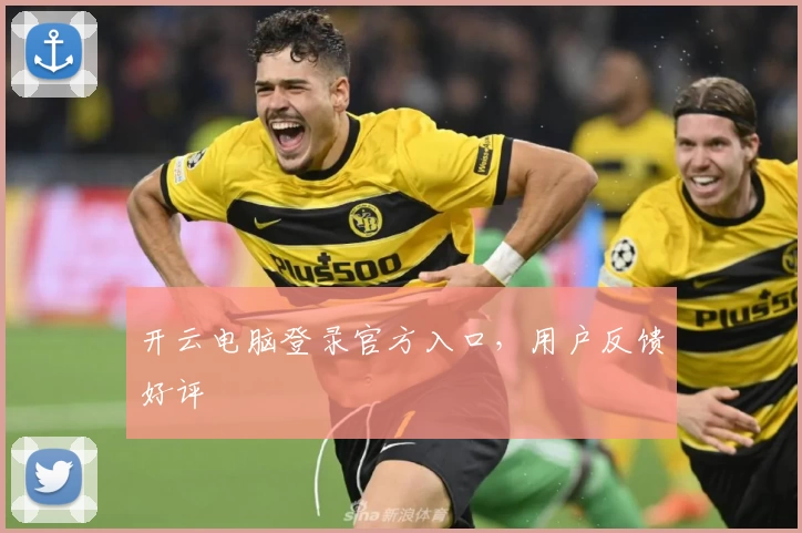 开云电脑登录官方入口，用户反馈好评