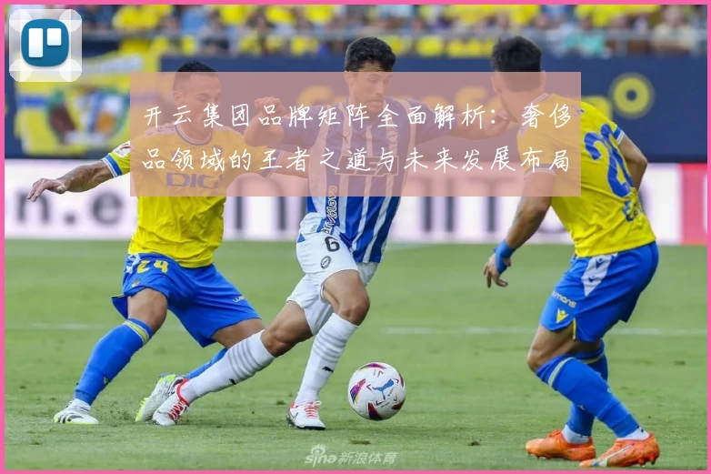 开云集团品牌矩阵全面解析：奢侈品领域的王者之道与未来发展布局