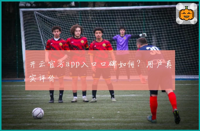 开云官方app入口口碑如何？用户真实评价