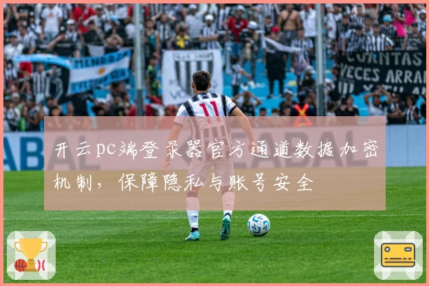 开云pc端登录器官方通道数据加密机制，保障隐私与账号安全