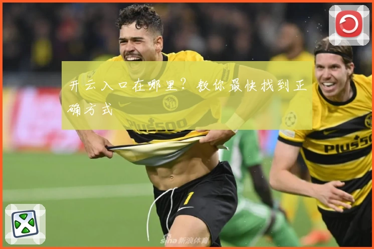 开云入口在哪里？教你最快找到正确方式