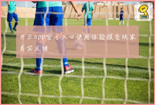 开云app官方入口使用体验报告玩家真实反馈